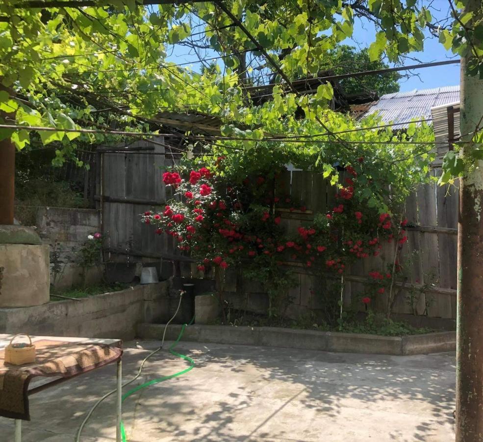Guest House Anastasia Borjomi Bagian luar foto